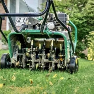 core aerator tines piercing the soil