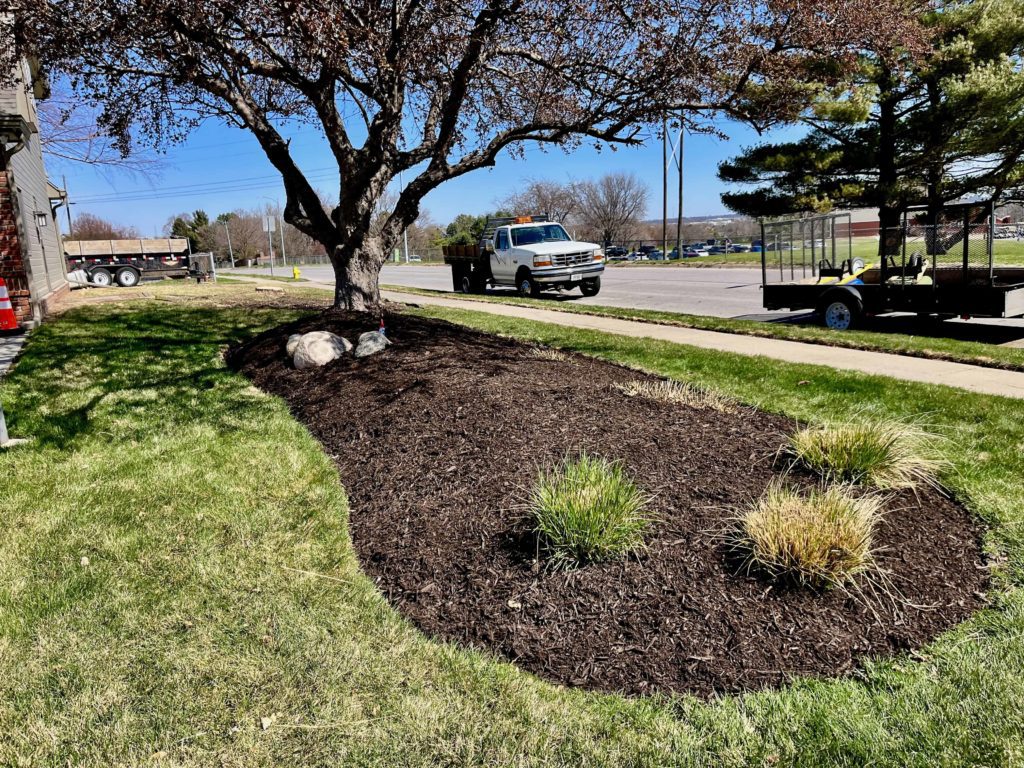 Fresh mulch landscaping laid in Omaha by Tiger Stripe Lawn Care. One of our many services.